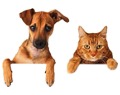 Pets